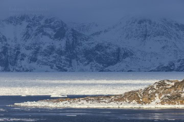 grenlandia-zima-sanie-_MG_0193
