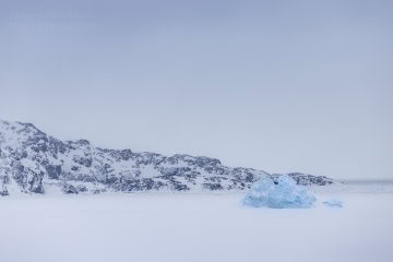 grenlandia-zima-sanie-_MG_0561