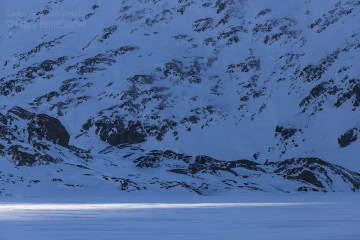 grenlandia-zima-sanie-_MG_0766