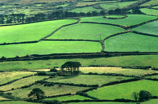 irlandia-rel-2006-17 irlandia-rel-2006-17