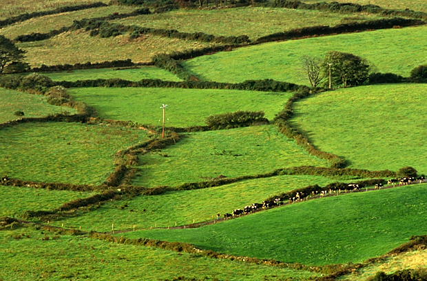 irlandia-rel-2006-30 irlandia-rel-2006-30