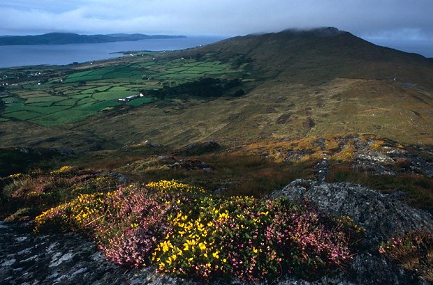 irlandia-rel-2006-32 irlandia-rel-2006-32