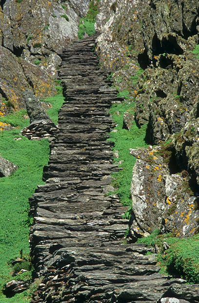 irlandia-rel-2006-41 irlandia-rel-2006-41