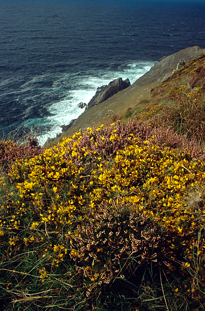 irlandia-rel-2006-58 irlandia-rel-2006-58