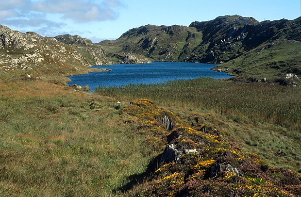irlandia-rel-2006-59 irlandia-rel-2006-59