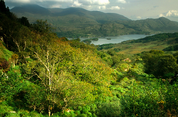 irlandia-rel-2006-61 irlandia-rel-2006-61