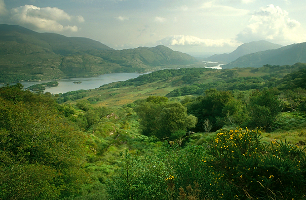 irlandia-rel-2006-63 irlandia-rel-2006-63