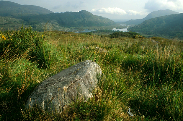 irlandia-rel-2006-65 irlandia-rel-2006-65