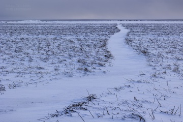 Islandia-zima-2022_A5A9800