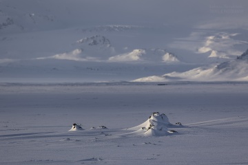 Islandia-zima-2022_A5A9812