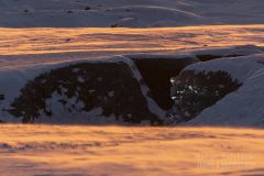 Islandia-jaskinia-lodowa-zima-_M4_5508