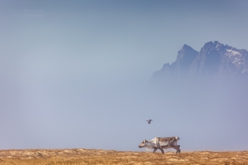 islandia-zima-2021-_A5A8816