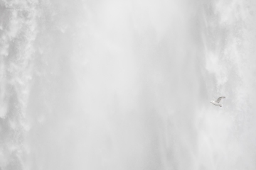 islandia-zima-2021-_M4_6519-bw