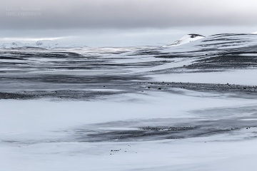 Islandia-2026_6C_7308