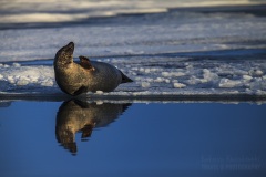 Islandia-zima-wyprawa-foto-_MG_6953