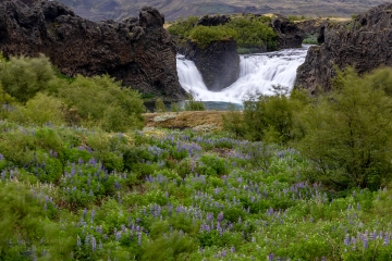 wodospad-islandia_A5A0445