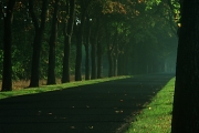 notec-2005-11