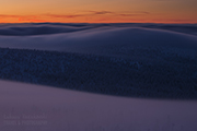 _MG_6156