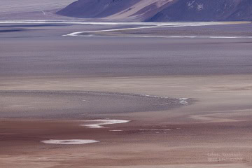 lago-salar-antofalla-_R5_5484