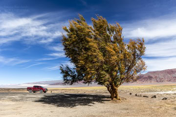 Laguna-Carachi-Pampa-_6C_2741