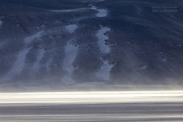 Laguna-Carachi-Pampa-_R5_3987