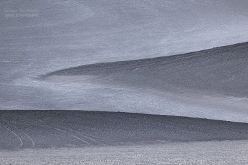 Laguna-Carachi-Pampa-_R5_4004