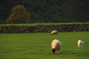 lakedistrict-2007-05