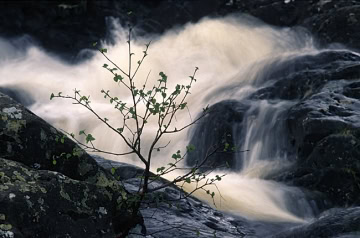 lakedistrict-2007-07