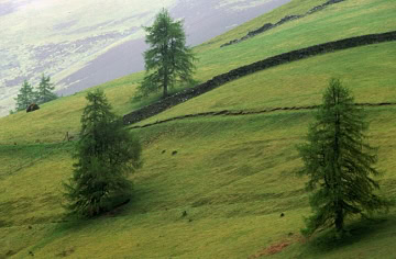 lakedistrict-2007-08