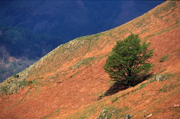 lakedistrict-2007-15