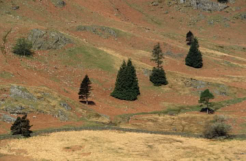 lakedistrict-2007-18