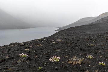 Langisjor-Islandia_6C_1275
