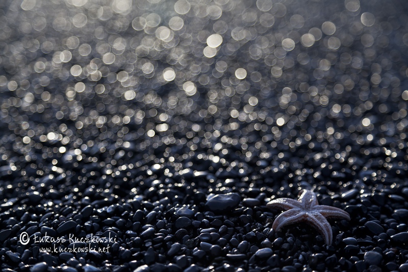 25C1110829-Islandia-alien-Memorial-Maria-Luisa