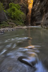 Narrows-USA-rzeka-Zion_R5_9814