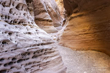 narrows-bear-canyon_6C_8027-Edit narrows-bear-canyon_6C_8027-Edit