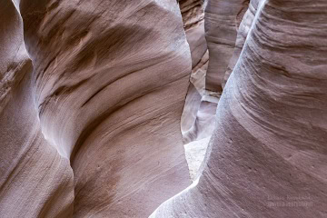 narrows-bear-canyon_6C_8100