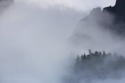 _mg_0400