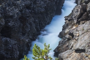 _mg_9498