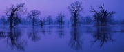 zzycia-17-08-2011-1
