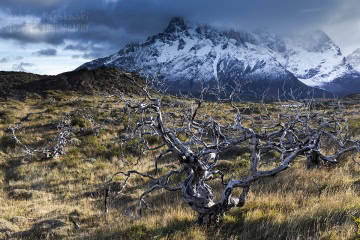 patagonia-chile-zima-_M4_0141