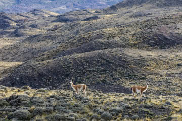 patagonia-chile-zima-_M4_0821