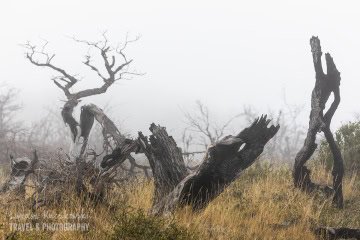 patagonia-chile-zima-_M4_1032