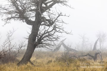 patagonia-chile-zima-_M4_1043