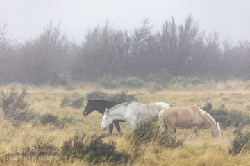 patagonia-chile-zima-_M4_1051