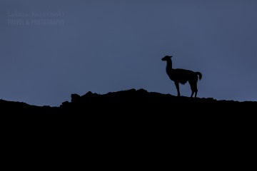 patagonia-chile-zima-_M4_1157