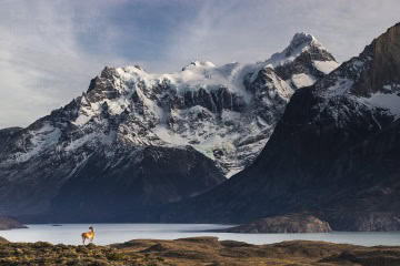 patagonia-chile-zima-_MG_9224