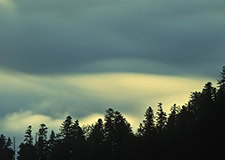 Pieniny