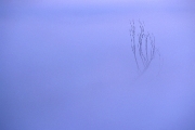 poranki-2008-23
