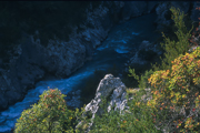 prowansja-2009-08