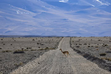 Ruta-Provincial-44_R5_5178